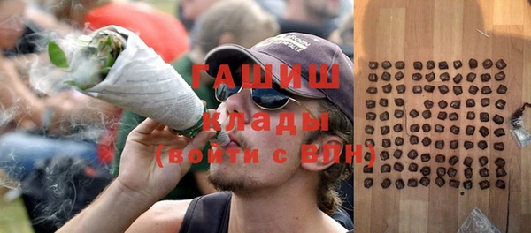 крисы Баксан
