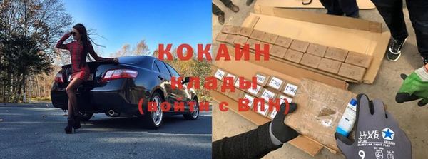 крисы Баксан